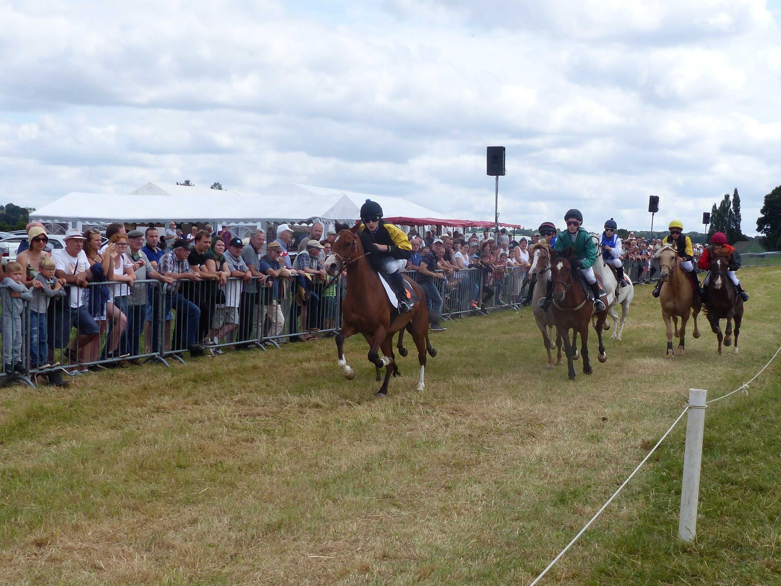 Photos des courses de poneys