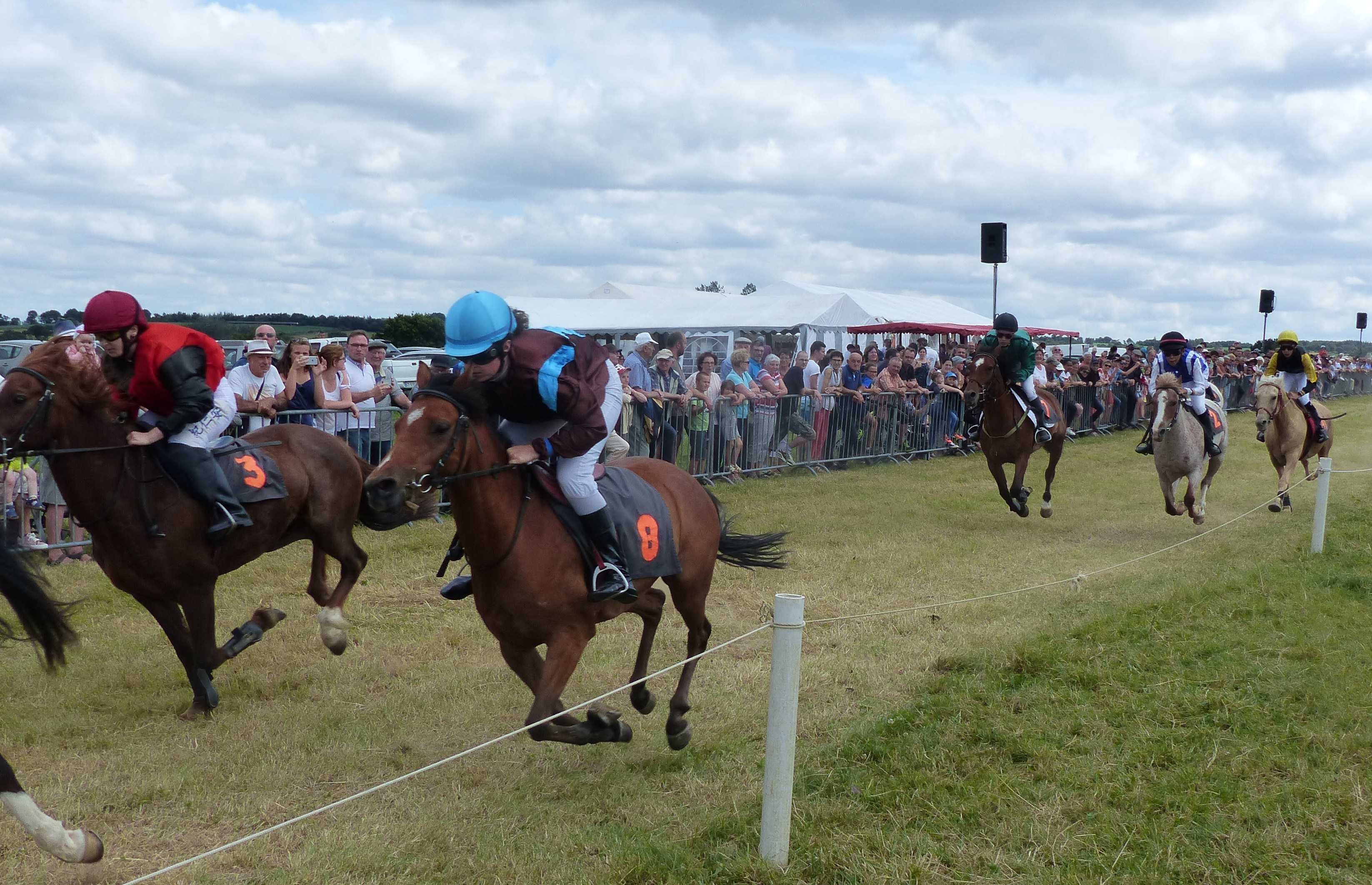 Photos des courses de poneys
